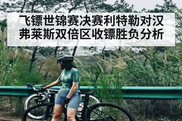 飞镖世锦赛决赛利特勒对汉弗莱斯双倍区收镖胜负分析